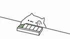 Bongo cat coding